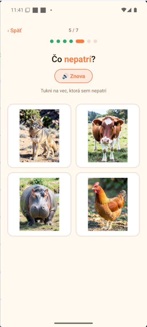 Čo nepatrí?